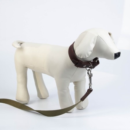 Set: collar (45-60x2.5 cm) leather and leash (150x2.5 cm) canvas, brown color-6