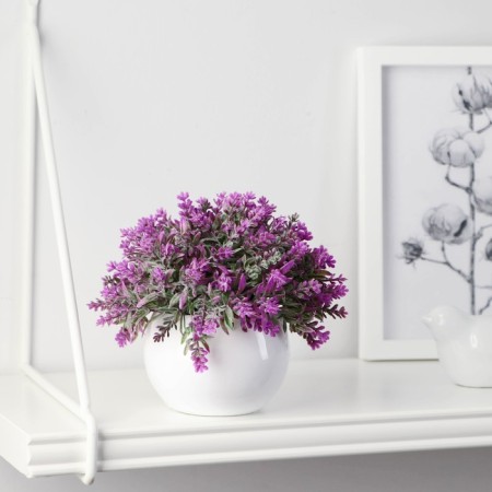 Bonsai in the “Lavender decorative” pot 8x10 cm, mix