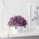 Bonsai in the “Lavender decorative” pot 8x10 cm, mix