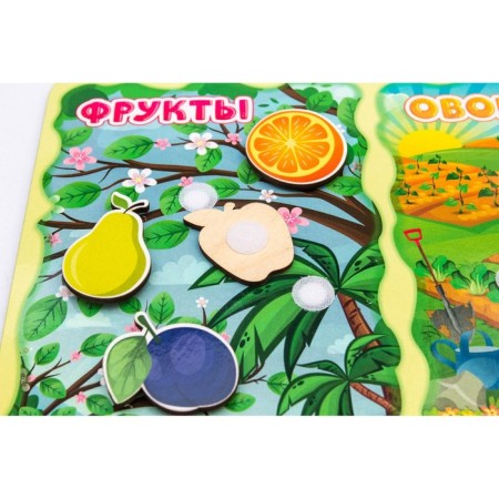 Sorter "What is the difference?" Fruits-vegetables ", on Velcro-4