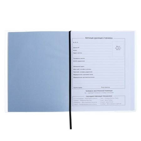 Universal Diary Grade 1-11, 48 sheets "Cosmonaut", a soft cover of PVC, embossing with foil, liesse, block offset-5