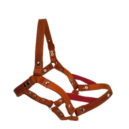 Underword, leather, tarpaulin, colored, 25 mm, l033