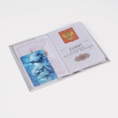 Passport cover, silver color-4