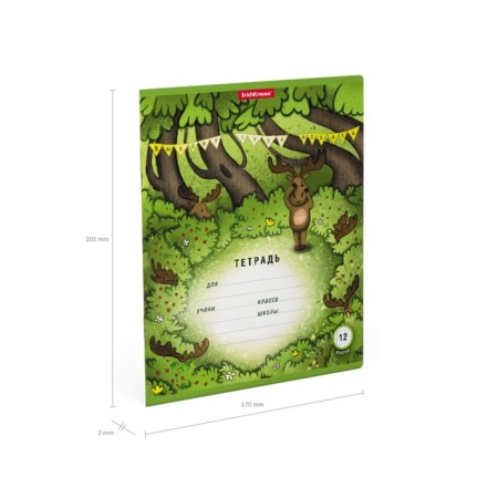 Notebook of 12 sheets in the Erichkrause "Searcum", cover coated cardboard, offset unit, whiteness 100% whiteness, mix-8