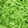Filler with silence, light green, 50 g