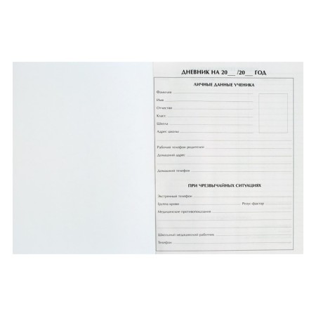 Universal diary for grades 1-11, "Husky", solid cover 7BC, glossy lamination, 40 sheets-3