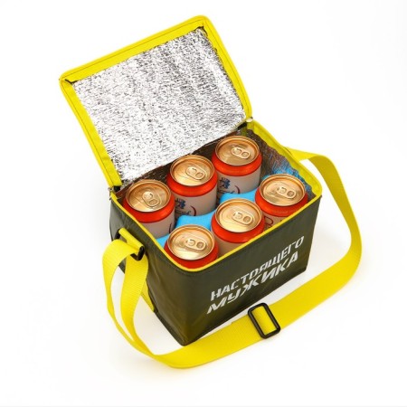 Thermal Surround for beer "INDICATED SAST", 17 x 22 x 18.5 cm, with a cold accumulator-1