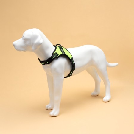 Cloll improved K7 soft reflective, size L, OG 64-86 cm, weight 18-27.5 kg, green-1