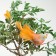 Bird for decor and floristry, on wire, mix, plastic, 1 pc., 8 x 8 cm