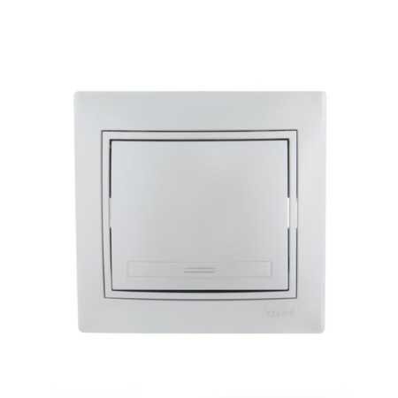 Switch Lezard 701-1010-100 mira, joint venture, 10a, 1 key, color gray color