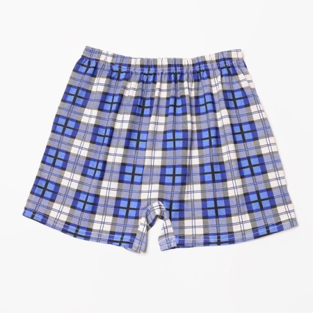 Men's panties with a button, the color of blue-white/cage, size 50-2