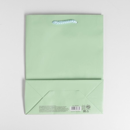 Gift package laminated, packaging, "green", MS 18 x 23 x 8 cm-4