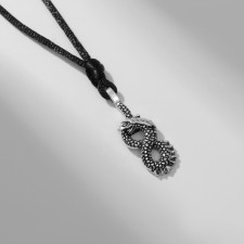 Curriculor's pendant 