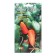 Sweet pepper "Mini Italy Honey", 5 pcs