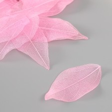 Leaves skeletered for creativity 