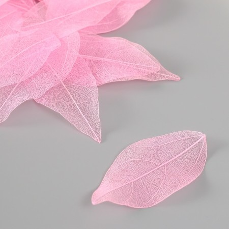 Leaves skeletered for creativity "pink" set 20 pcs h = 6-6.5 cm