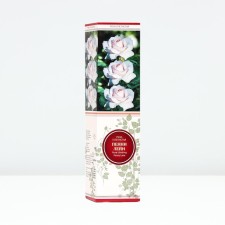 Seedling rose Pleshny 