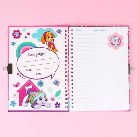 Gift set: Notebook "Sky and Everest" on the lock and pen, PAW PATROL-4