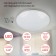 Lamp SPB-6-12-4K Element 12W 4000K
