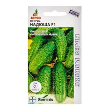 Cucumber seeds 