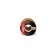 KimTec D 9*7.5 Bay, 04-14-04, brown, 100 m