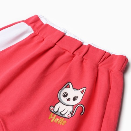 Kit for girls (sweatshirt, trousers), raspberry color, height 86 cm-6