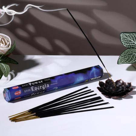 Incense hem "Divine Power. Divine power", 20 wands in packaging, hexagon