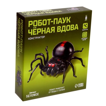 Black Widow's Robot Evrika, Designer, 43 details, on water with salt-6