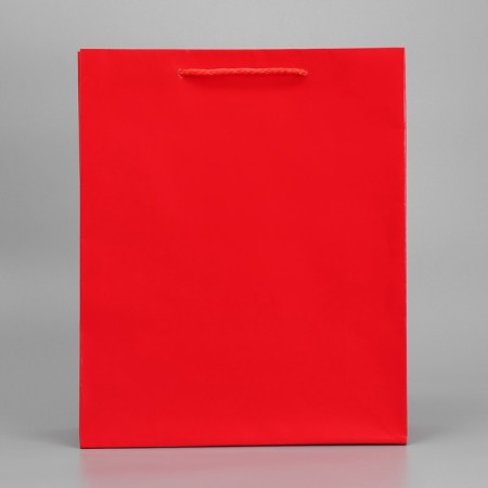 Gift laminated package, packaging, red, m 24 x 29 x 9 cm-4