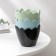 Kashpo for flowers "Shell", 8 × 6.5 cm, color mix
