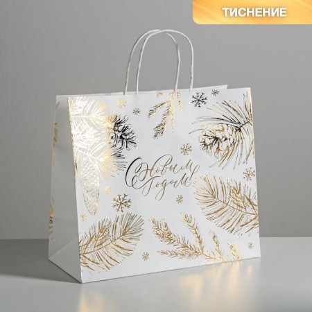 Package Gift Crafts Best Winter, 32 x 28 x 15 cm, New Year-1