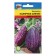 Eggplant seeds "Polar shine", mixture