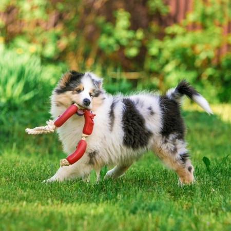 Rubber toy "3 sausages" on a rope, 50 cm, mix-3