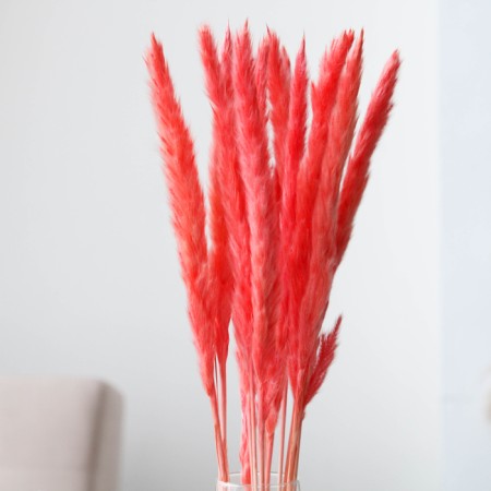 Sukhotzet "reed" set 15 pcs, the color is gently pink-1