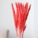 Sukhotzet "reed" set 15 pcs, the color is gently pink