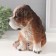Figure "Puppy Senya" height 16 cm, width 12 cm, length 17 cm.