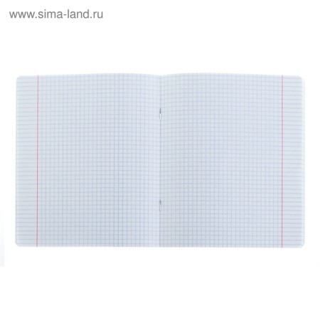 A notebook of 18 sheets in a Classic with a Linovka, a cover coated cardboard, an offset unit, whiteness is 100%, yellow-5