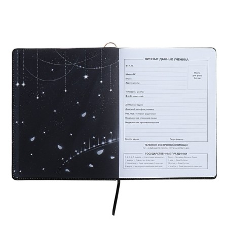 Universal Diary Grade 1-11, 48 sheets "Princess-ballerina", solid cover of artificial leather, lies, universal cheat sheet, block 80 g/m2-7