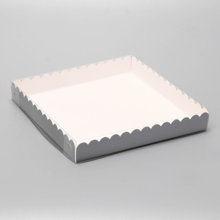Box for cookies, silver, 20 x 20 x 3 cm-1