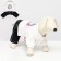 Summarian "Unicorn", size 16 (ds 36 cm, og 46 cm, Osh 35 cm), white-blue