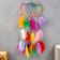 Dreams of Dreams "Woven Hearts" Bright feathers 55 cm
