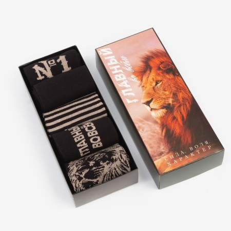 A set of men's socks KAFTAN "main" 5 pairs, size 41-44 (27-29 cm)