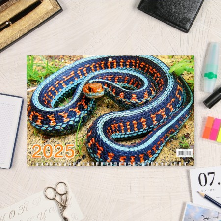 Quarterly calendar, trio "Symbol of the year - 3" 2025, 69 x 31 cm-1