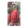 Semen Tomat "Raspberry Pepper", 0.01 g