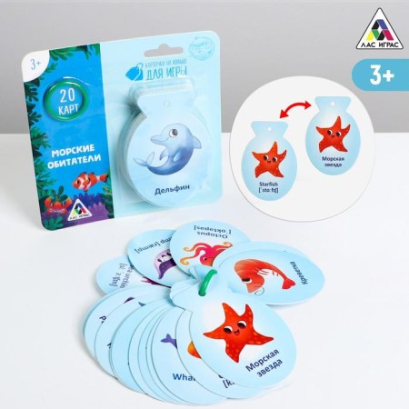 Cards on the ring for learning English "sea inhabitants", 20 cards, ring, 3+