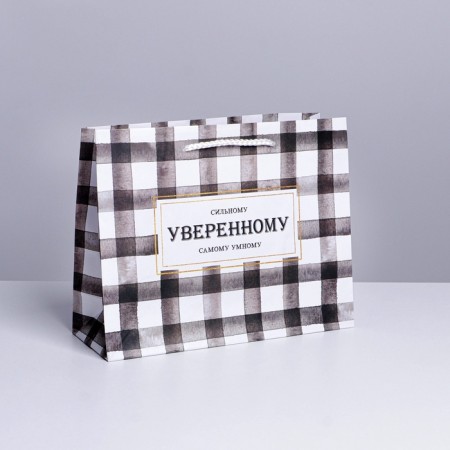 Gift package laminated, packaging, “strong”, MS 23 x 18 x 8 cm-1