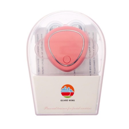 Facial massage LMZ-001, microticle, pink, from USB-8