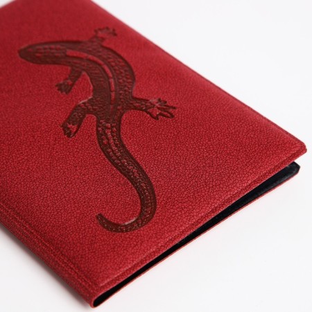 Cover for passport, red color-3