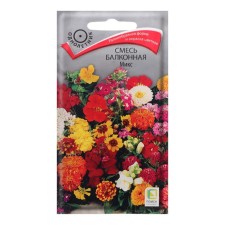 Balcony flowers 