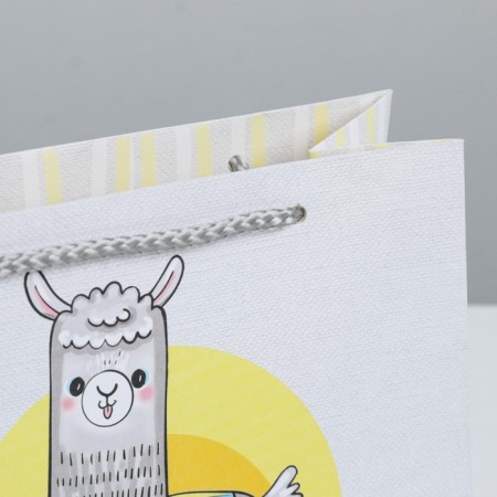 Gift package, packaging, "fun", 19.5 x 14.5 x 8.5 cm-4